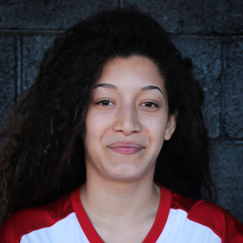 Araisa De Jesus mugshot