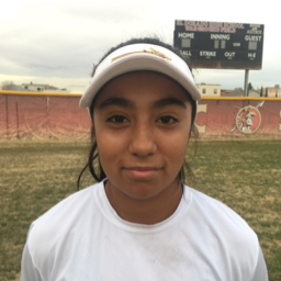 Idalis Mendez mugshot