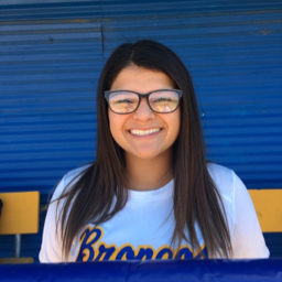 E. Rodriguez