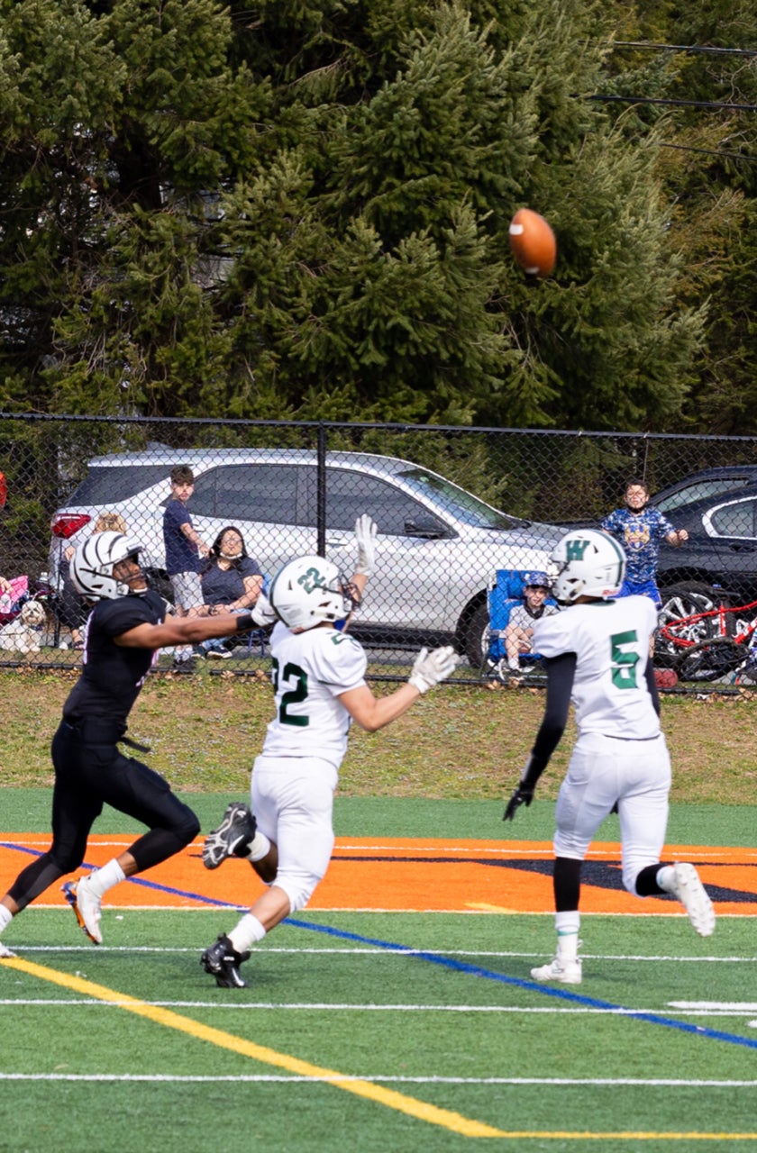 Justin Gabriel High School Football Stats Woodlands (Hartsdale, NY