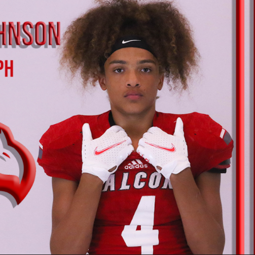 Terrell Johnson mugshot