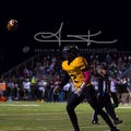 P. Ellerbe