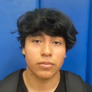 Luis Sanchez mugshot
