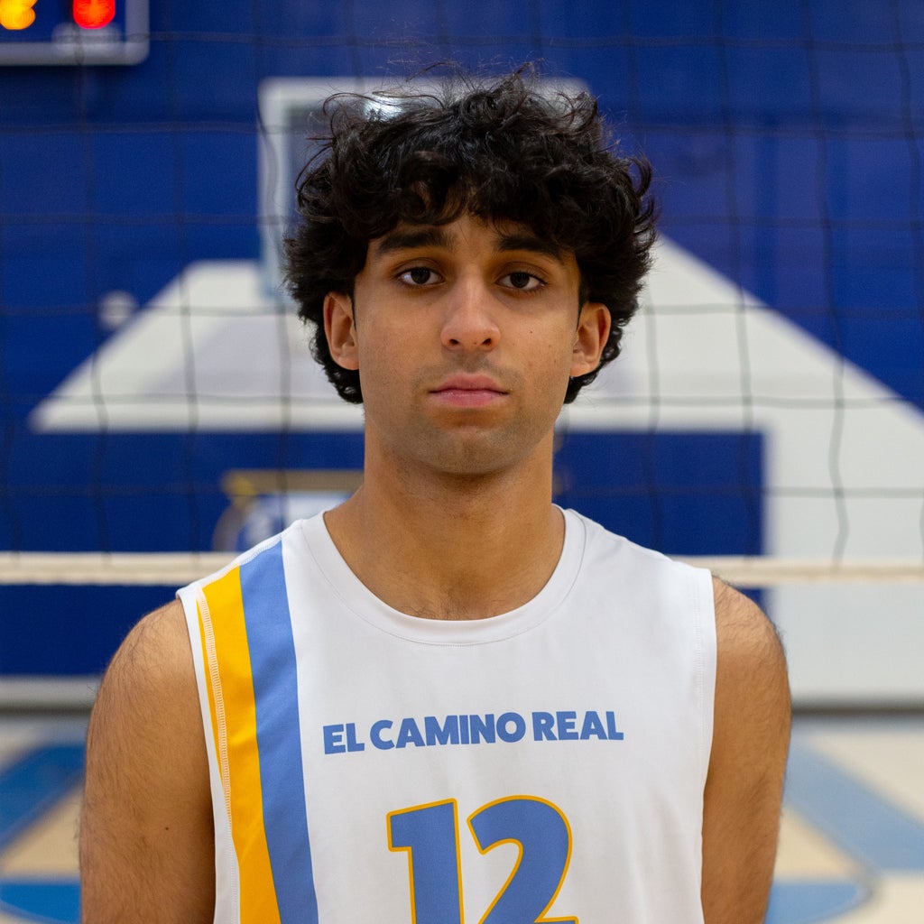 Rishi Mistry mugshot