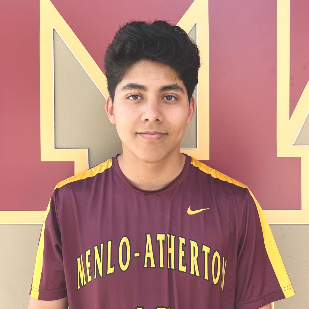 Luis Licea Fuerte mugshot