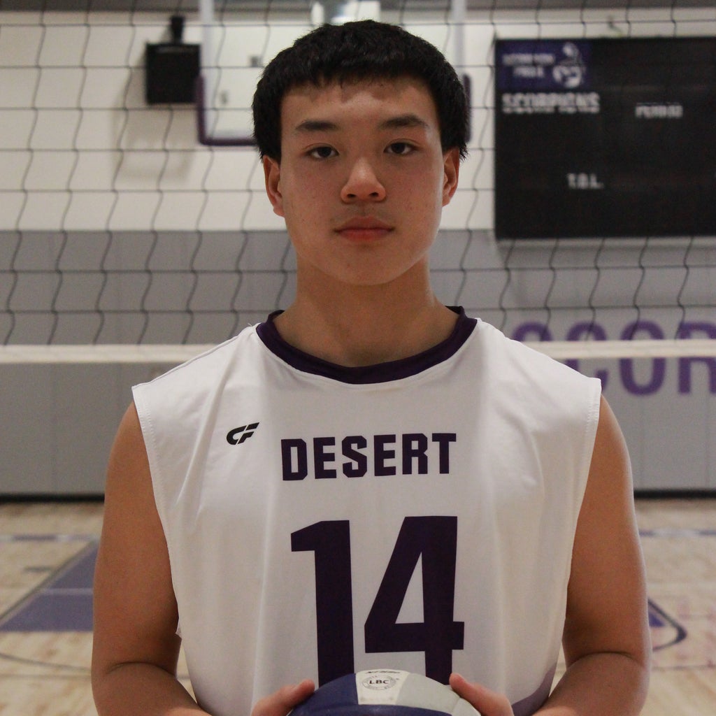 AYDEN NGUYEN mugshot