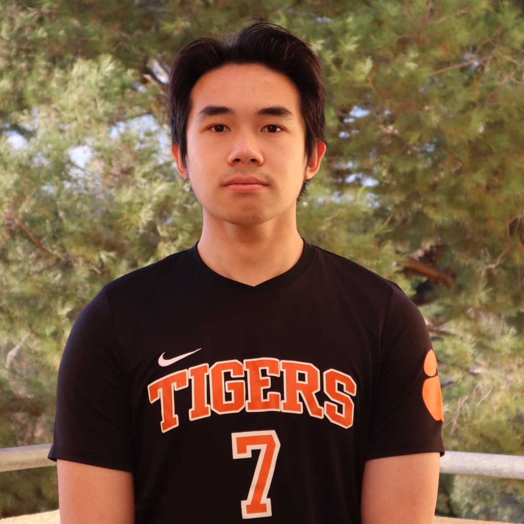 Mark  Luong mugshot