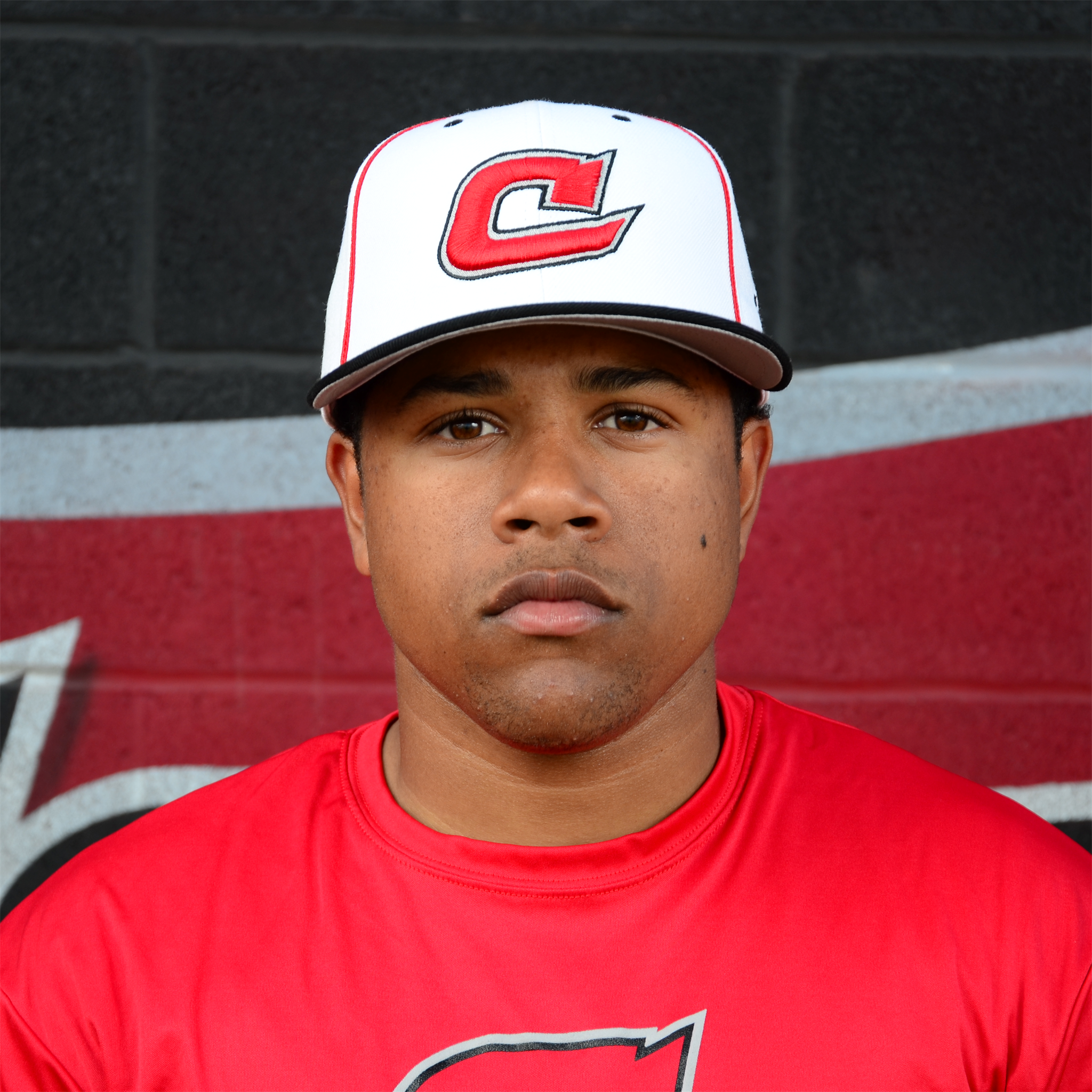 Nelson Paredes mugshot