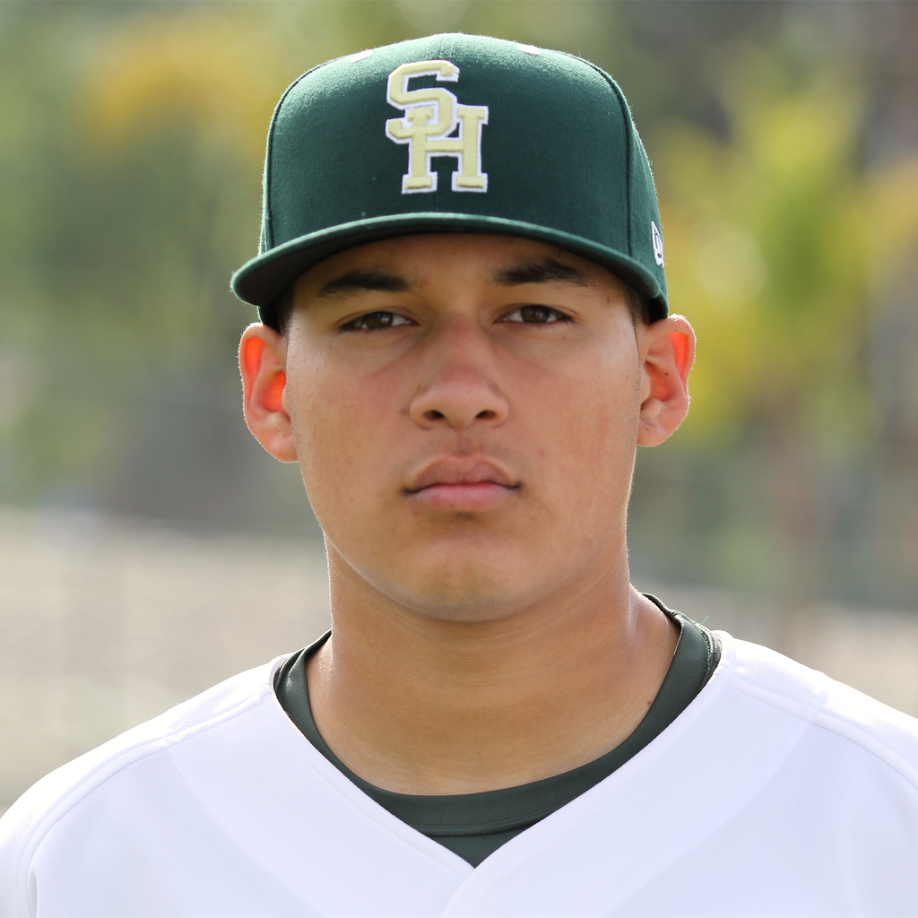 Andy Manrique mugshot