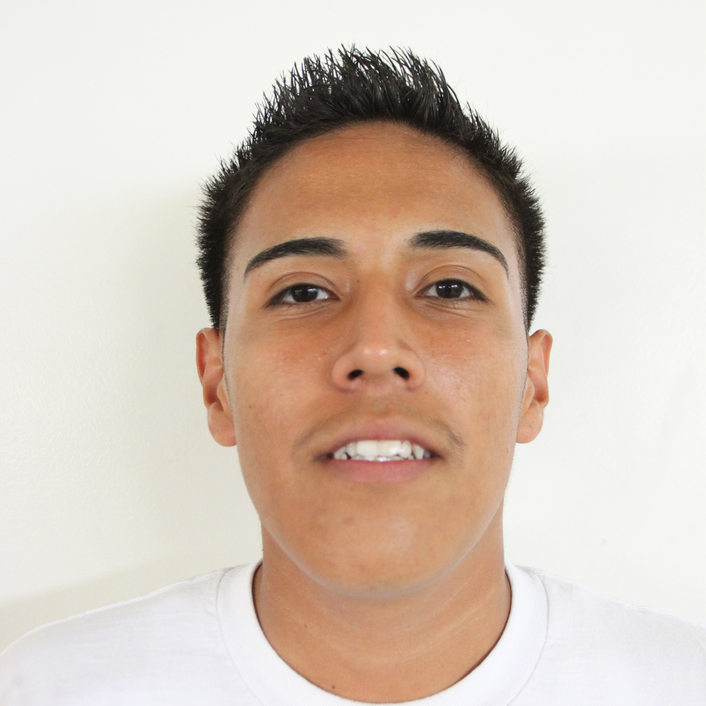 Luis  Renteria mugshot