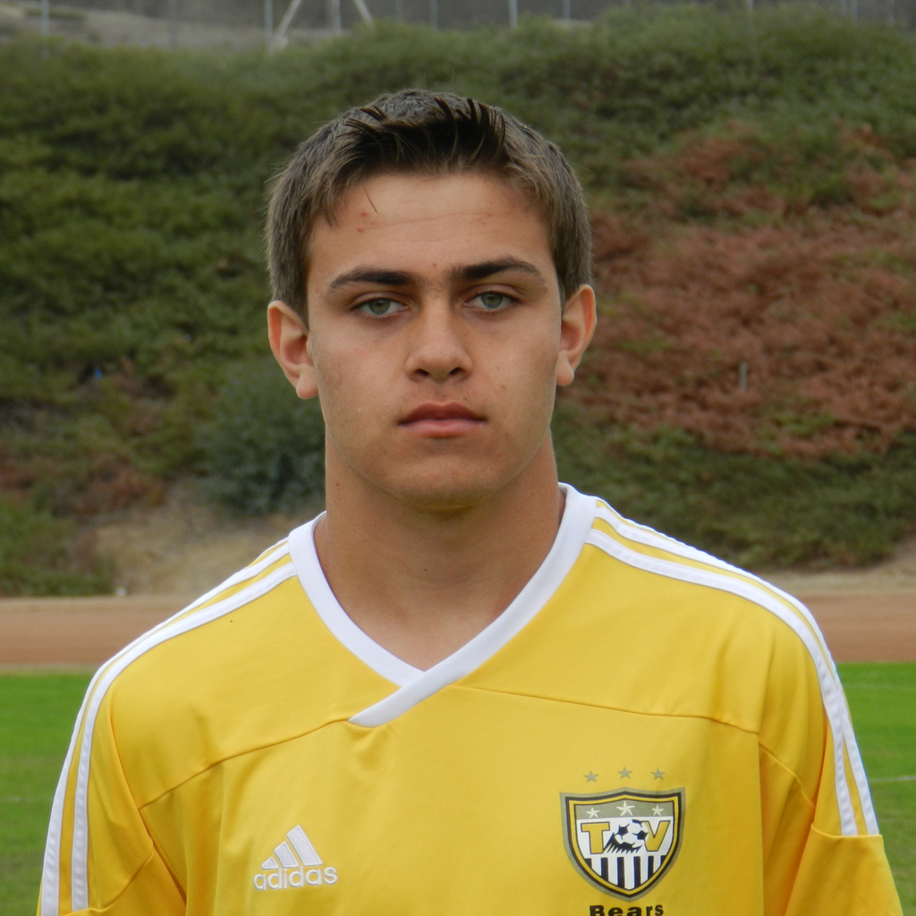Brandon Borin mugshot