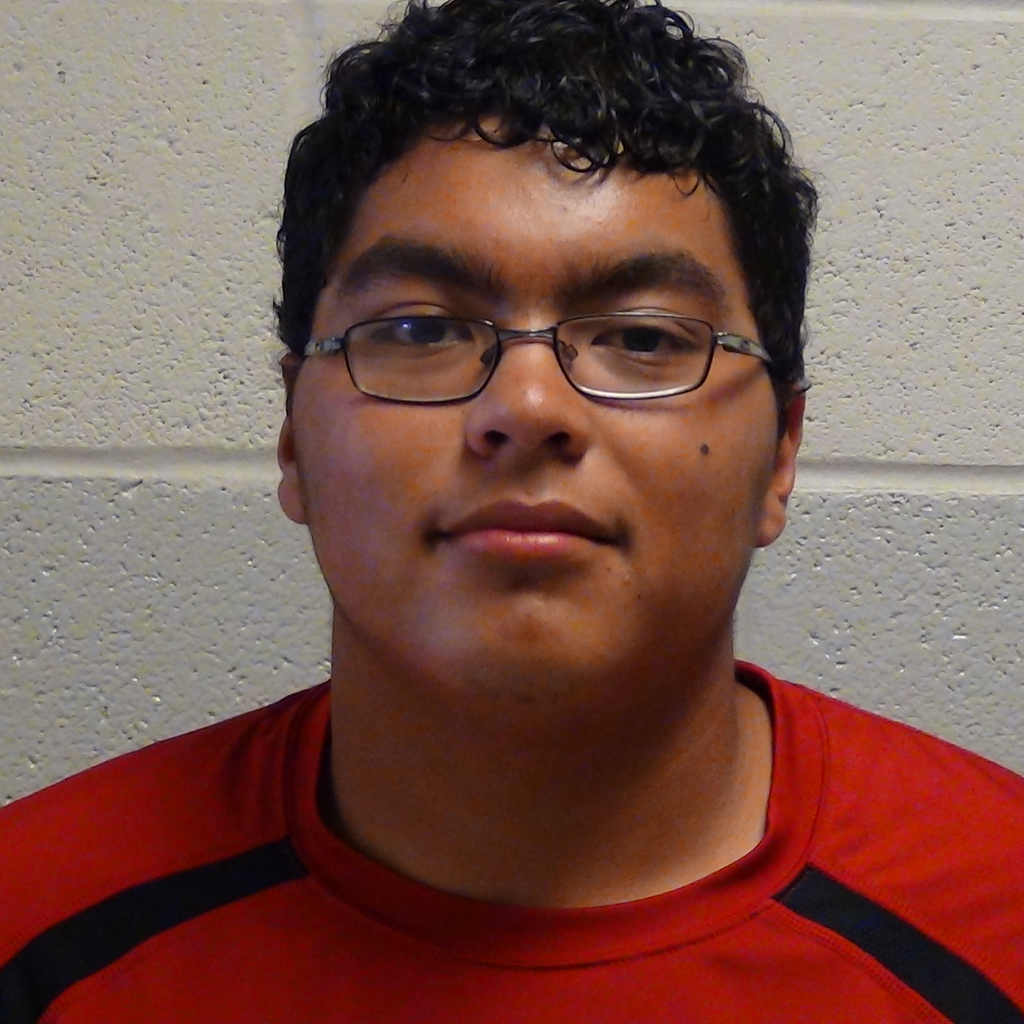 Diomar Franco mugshot