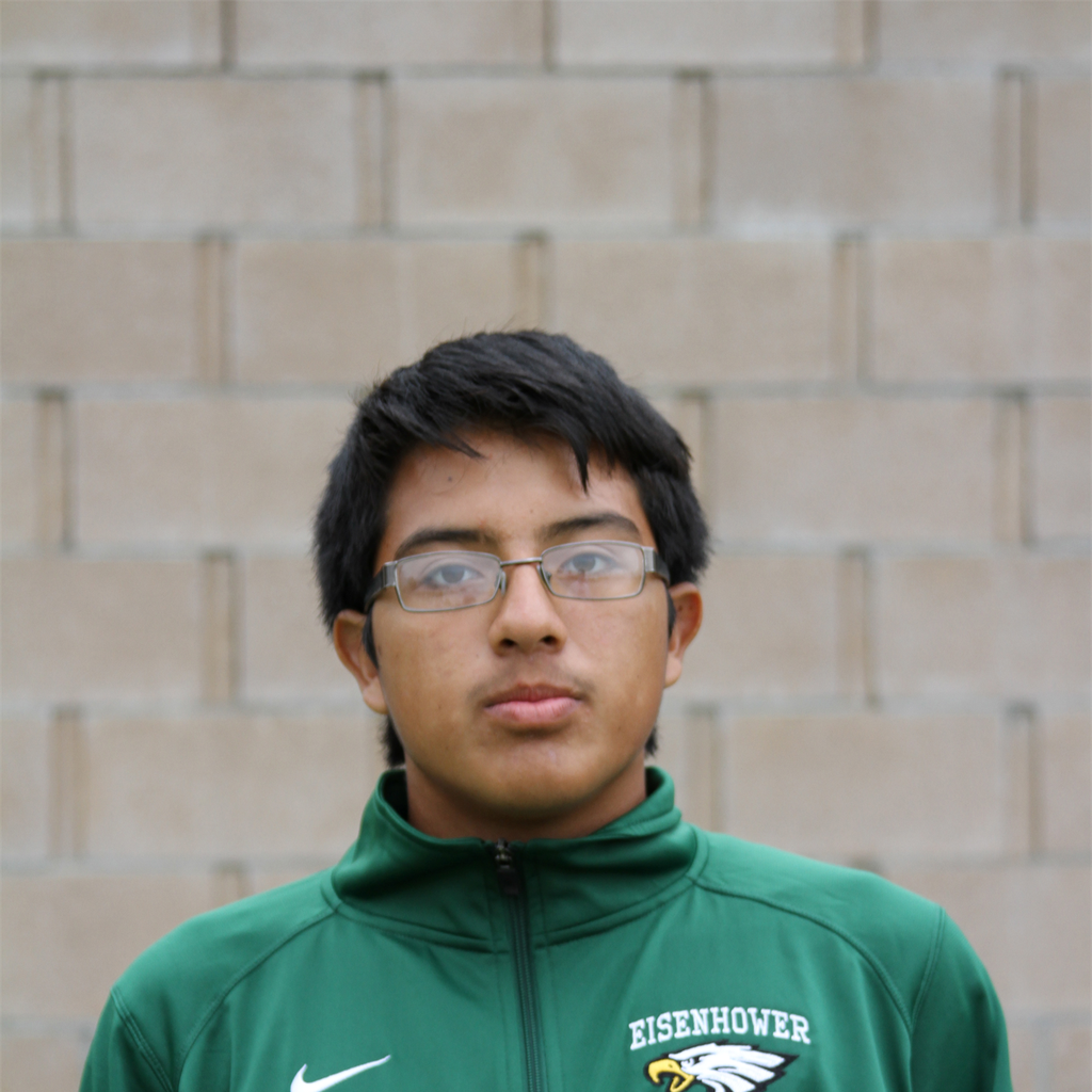 Diego Mesa