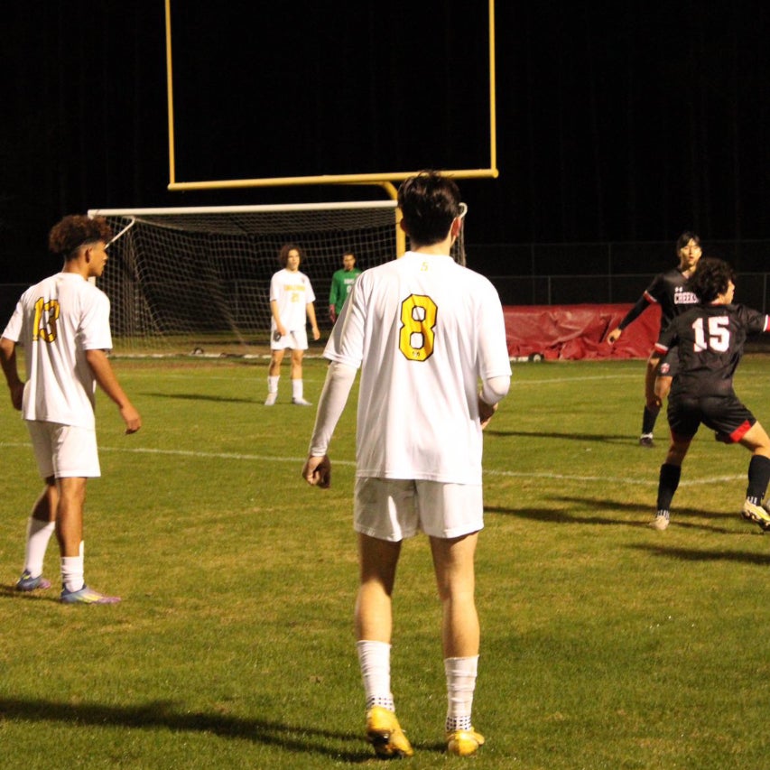 Jasmin Ljeskovica mugshot