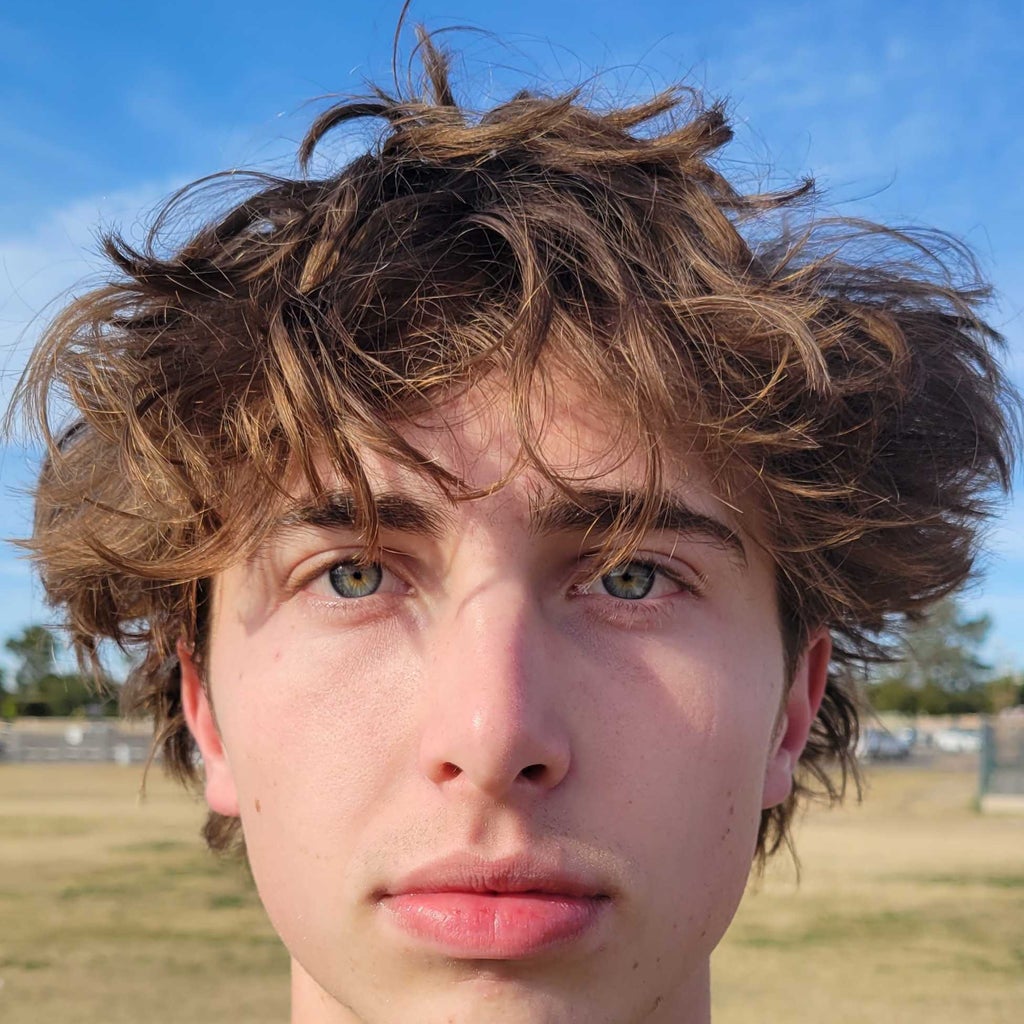 Luca Nieri-Lang mugshot