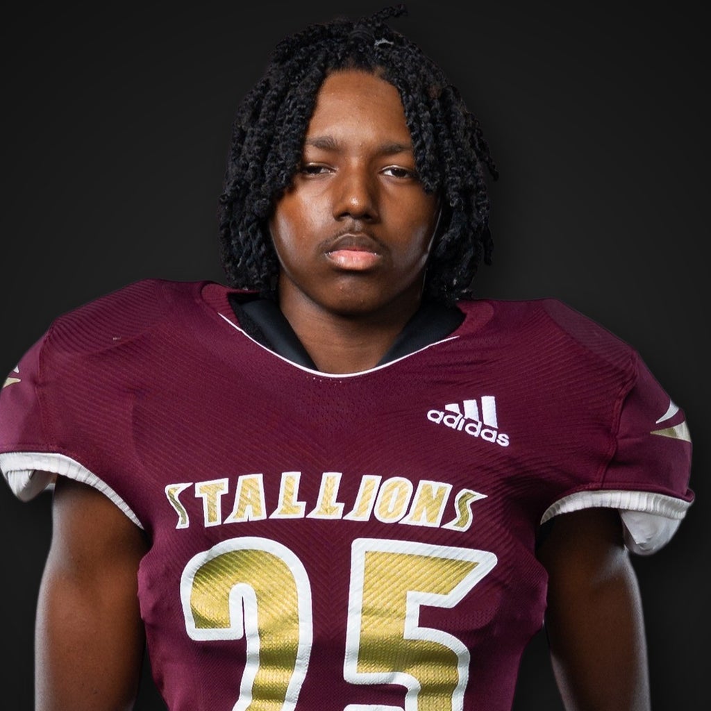 Amari Hamilton mugshot