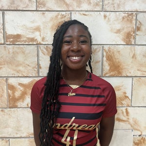 Nnenna Obadile-okoye mugshot