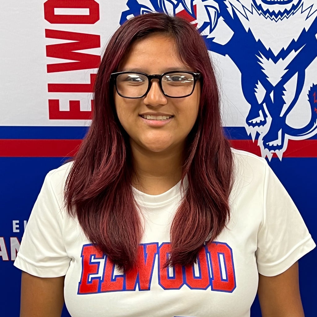 Julissa Reyes mugshot