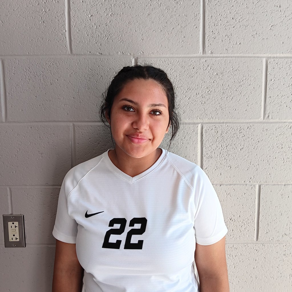 Analy mariely Rodarte mugshot