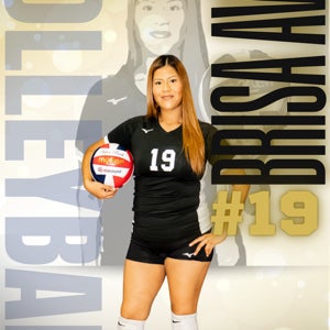 Brisa Avila mugshot