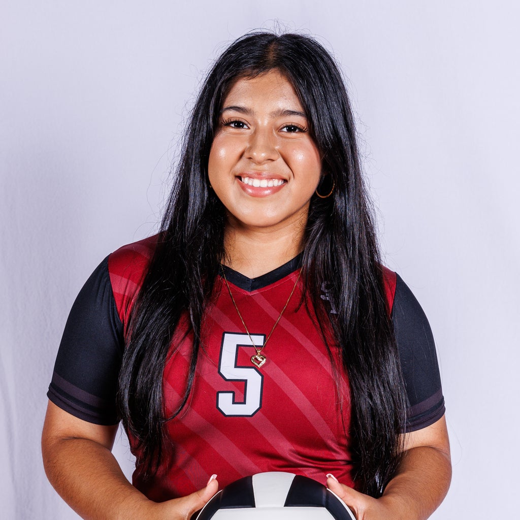 Lily Lopez mugshot