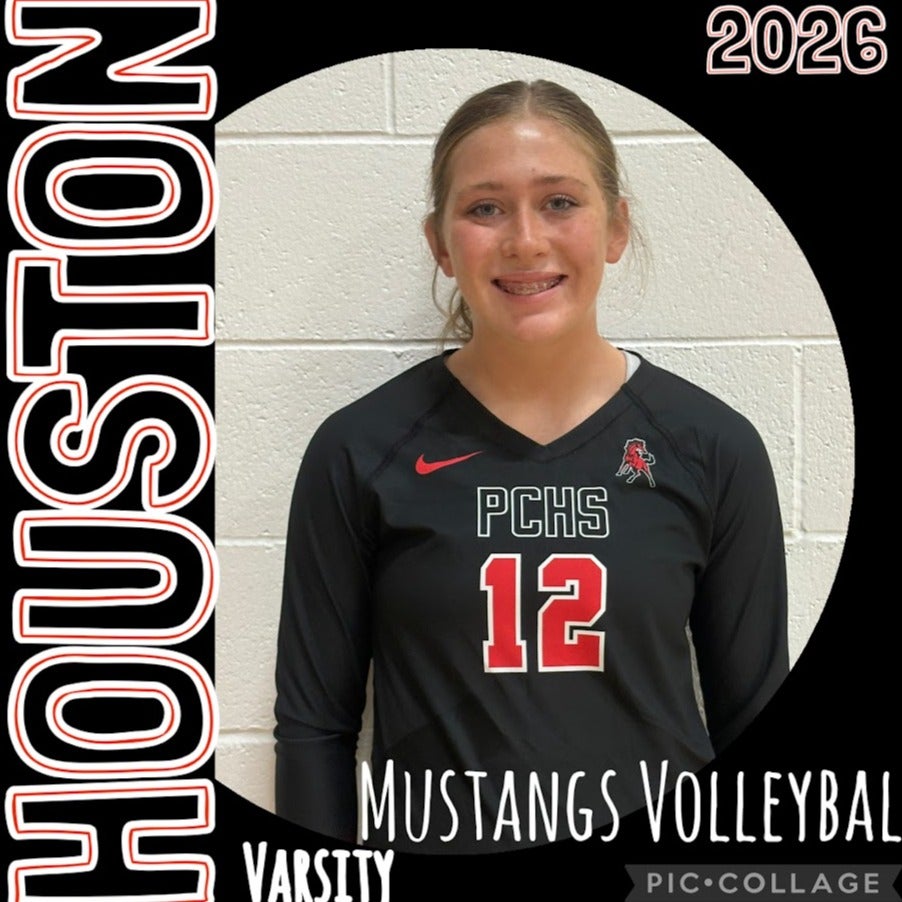 Mollee Houston mugshot