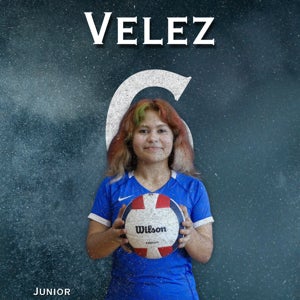 Iveliz Velez mugshot