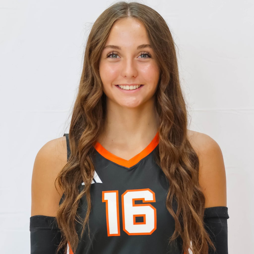 Camri David mugshot