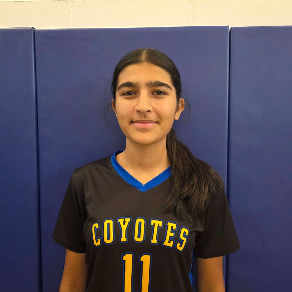 Arya Zeyaee mugshot