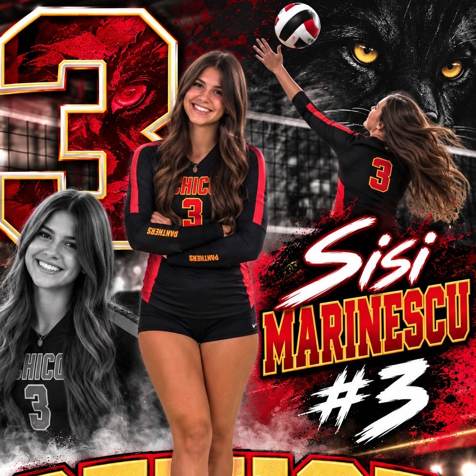 S. Marinescu
