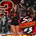 S. Marinescu