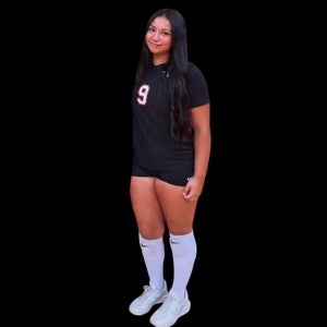 Giselle Castro mugshot