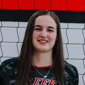 Carly Hamlin mugshot