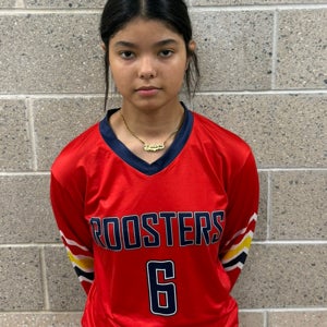 Leilani Castro mugshot
