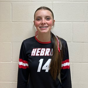 Ashlyn Veldhuizen mugshot