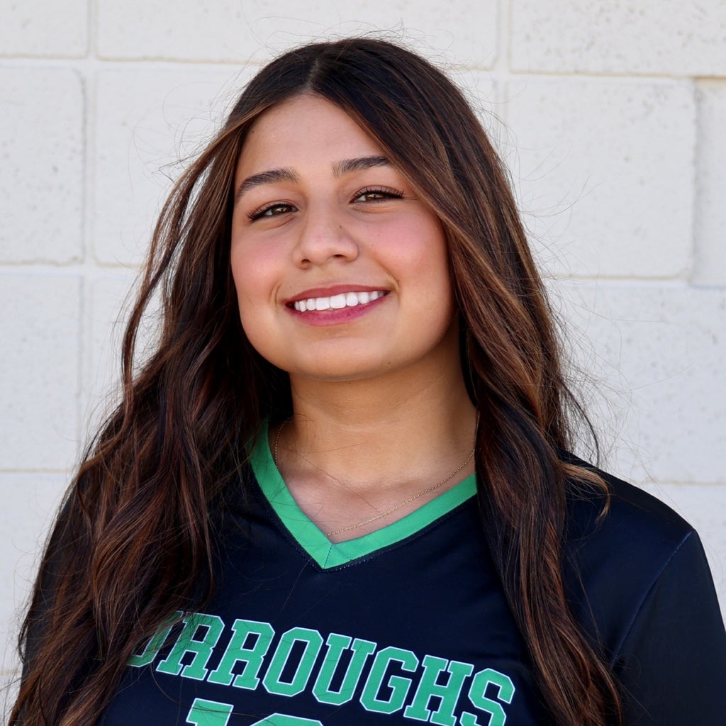 Alexa Santiago mugshot