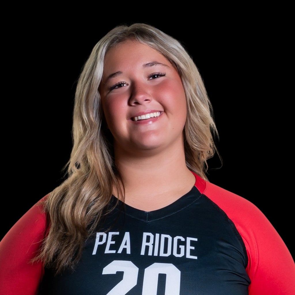 Linley Bowlin mugshot