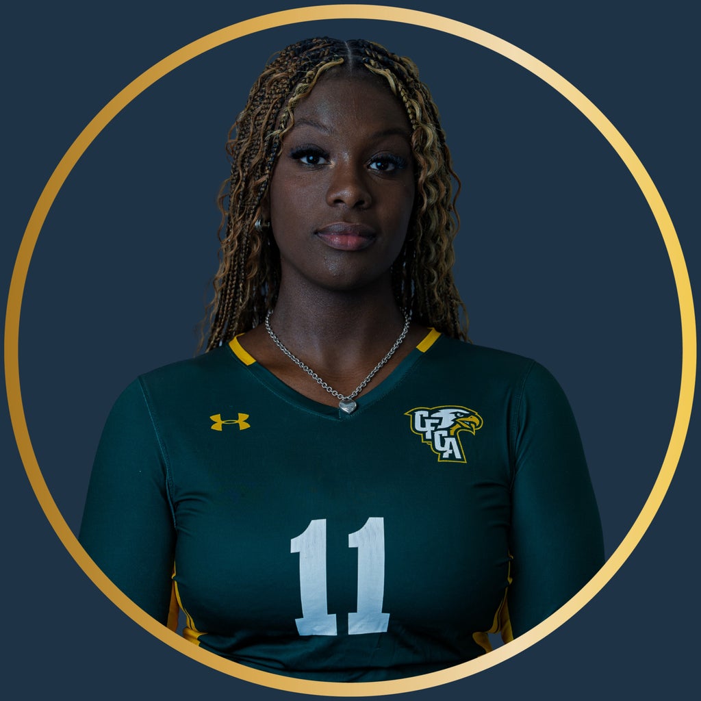 Atira Johnson mugshot