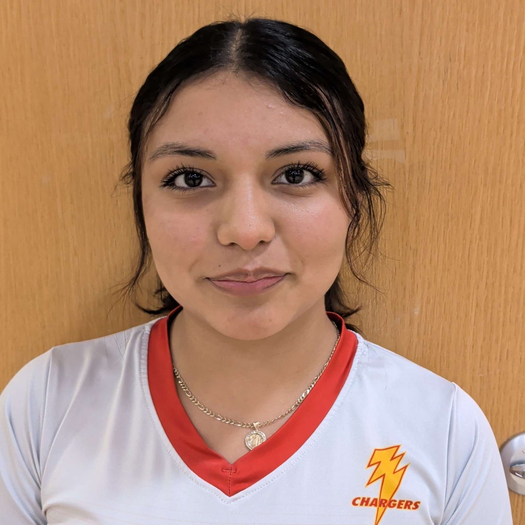 Andrea Villarreal mugshot