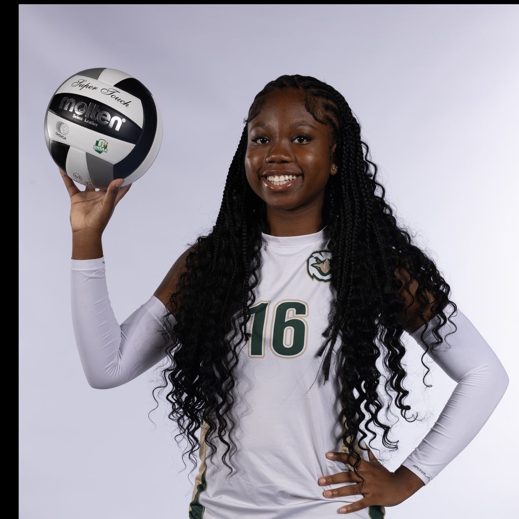 Journie Johnson mugshot