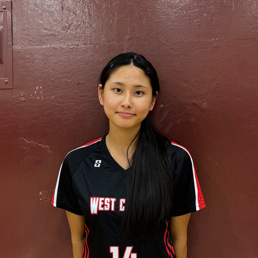 Vy Nguyen Le Pham mugshot