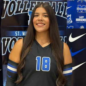 Emily Villanueva mugshot