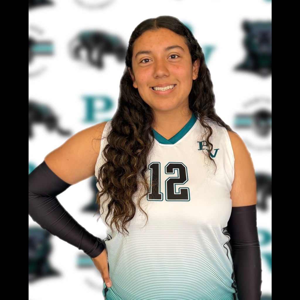 Jennine Ortiz mugshot