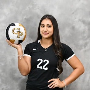 Naihlyn Perez mugshot