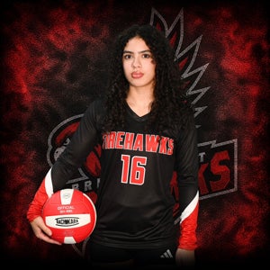 Janessa Figueroa mugshot