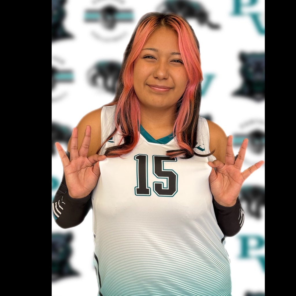 Lizbeth Baez-Ramirez mugshot