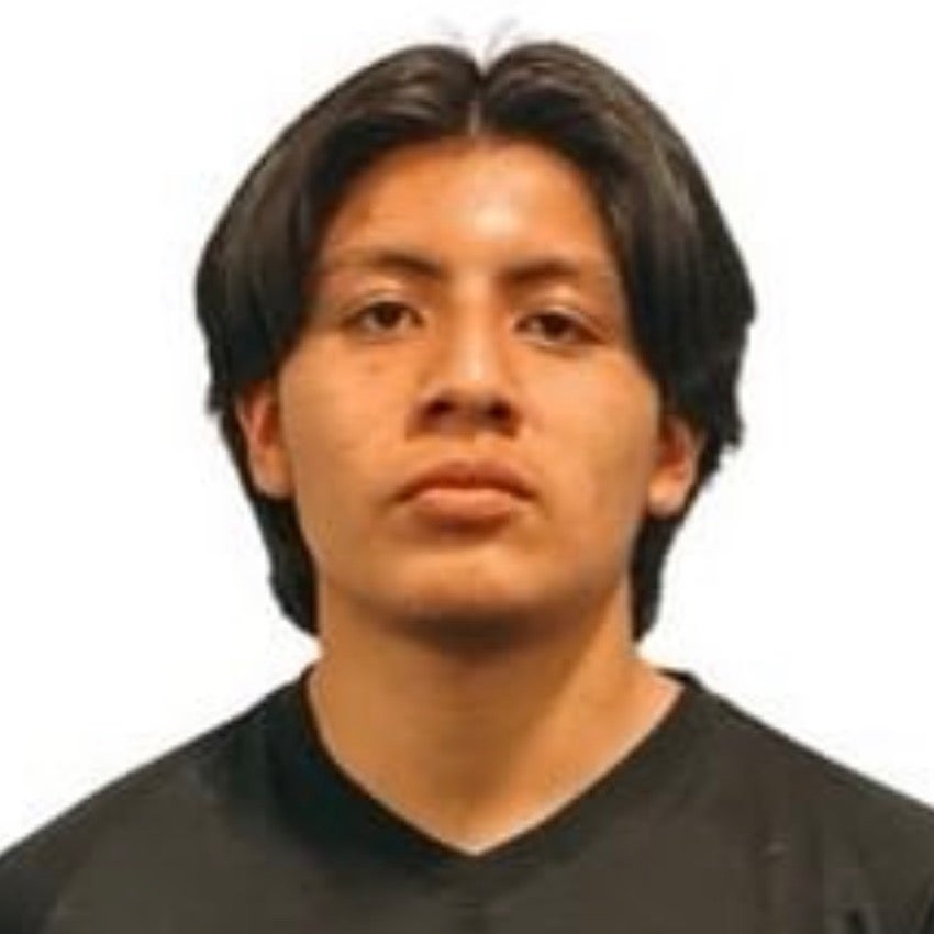 Luis Garcia-Santos