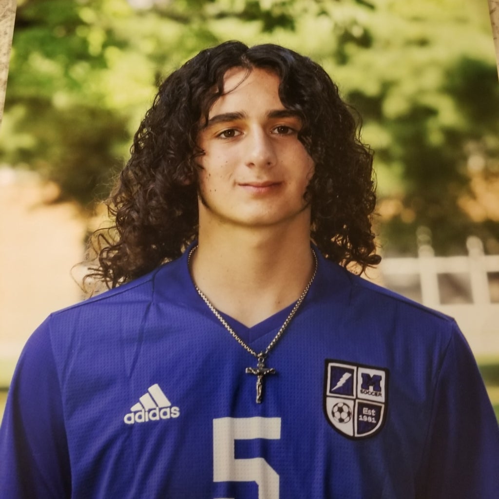 Santino  Cardilli mugshot
