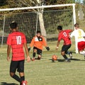 M. Alvarado