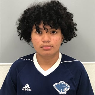Diego Santos-Palma mugshot